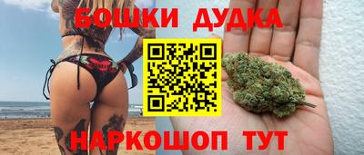 прущие грибы Пенза