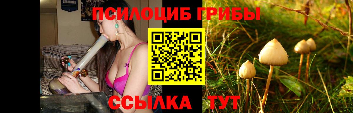 Псилоцибиновые грибы Psilocybine cubensis Сорочинск